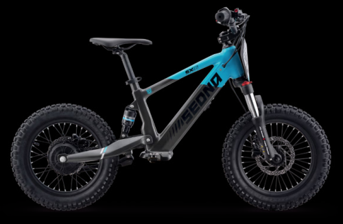 Elektro Fahrrad Sedna SX16"